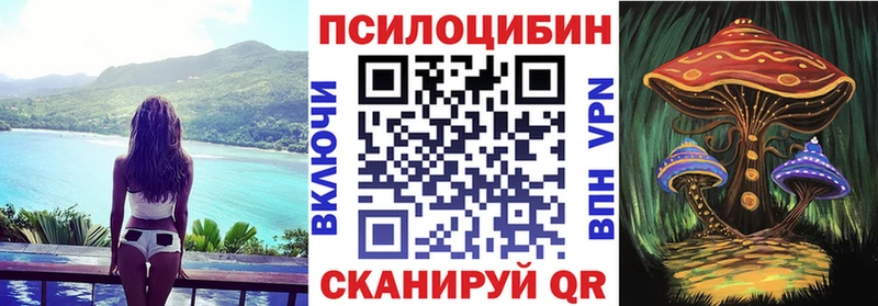 где можно купить наркотик Ревда Псилоцибиновые грибы Psilocybine cubensis